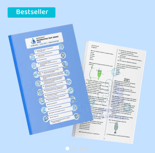 Expert-Curated Books